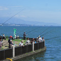 822-2.jpg