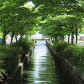 823-3.jpg