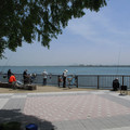 825-1.jpg