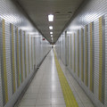 826-3.jpg