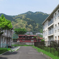829-3.jpg