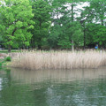 831-2.jpg