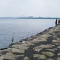 831-3.jpg