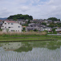 833-1.jpg