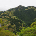 833-3.jpg