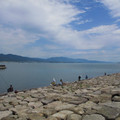 834-2.jpg