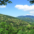 835-1.jpg