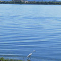 835-3.jpg
