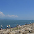 841-1.jpg
