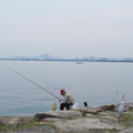 842-2.jpg