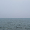 849-1.jpg