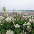 850-1.jpg