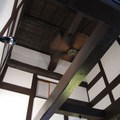 886-2.jpg