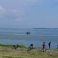 889-3.jpg