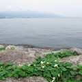890-2.jpg