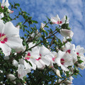 892-2.jpg