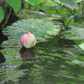 892-3.jpg