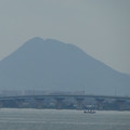 893-1.jpg