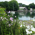 895-1.jpg