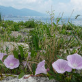 895-3.jpg