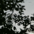 896-1.jpg