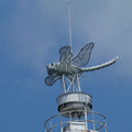 896-3.jpg
