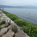 898-2.jpg