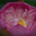 898-3.jpg