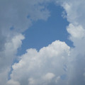 900-1.jpg