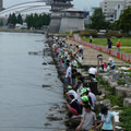 905-2.jpg