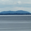 908-3.jpg