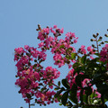 913-2.jpg