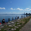 947-2.jpg