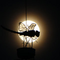 950-2.jpg