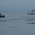 951-1.jpg