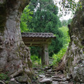 952-1.jpg