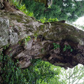 952-2.jpg