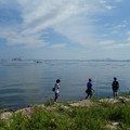 954-1.jpg