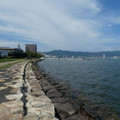 955-2.jpg