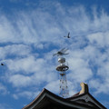 957-3.jpg