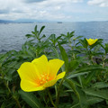 958-2.jpg