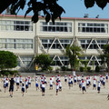 959-3.jpg