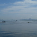 964-2.jpg