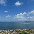 967-3.jpg
