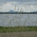 968-3.jpg