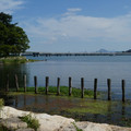 969-1.jpg
