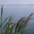 970-2.jpg