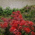 971-3.jpg