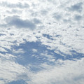 972-1.jpg