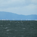 973-1.jpg